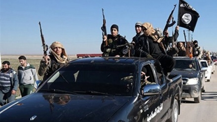 BBC enthüllt: Sicherer Rückzug von Hunderten IS-Terroristen aus Rakka unter Aufsicht der Anti-IS-Koalition