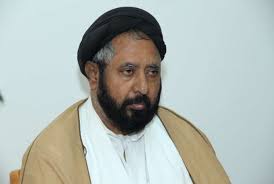 علامہ نیاز نقوی: ناصر عباس شیرازی سمیت تمام بے گناہوں کو رہا کیا جائے
