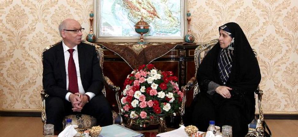 Iran's nuclear deal not renegotiable: EP official