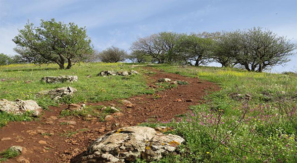 Israel approves hiking trail through West Bank, Golan 