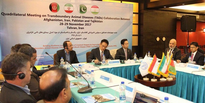 ایران میں مویشیوں کی بیماریوں کے حوالے سے فائو کی چار فریقی نشست کا انعقاد
