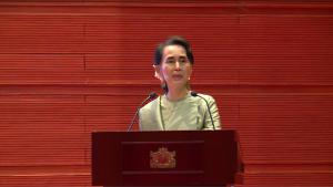 လူငယ္လုပ္ငန္းရွင္အသစ္မ်ားကို လမ္းညႊန္ႏိုင္မည့္ ကြန္ယက္တစ္ခု တည္ေထာင္သင့္ဟု အတိုင္ပင္ခံ အၾကံျပဳ