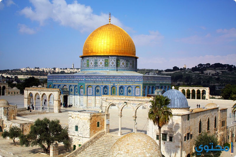 كوريا الشمالية تصف ترامب بالعجوز الأخرق وتتضامن مع الشعب الفلسطيني