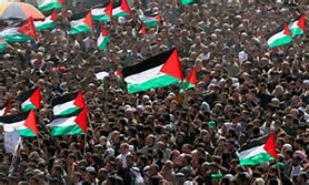 Palestine: Higit sa 80 mga Palestino ang nasugatan 