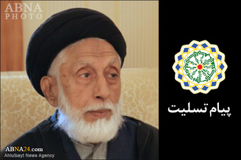مولانا سید علی تقوی کے انتقال پرملال پر اہل بیت(ع) عالمی اسمبلی کا تعزیتی پیغام