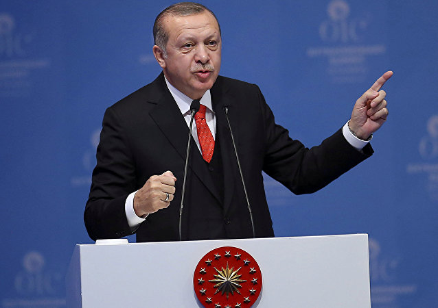 أردوغان لوزير خارجية الإمارات: أين كان جدّك أيها البائس؟ عليك أن تعرف حدودك!