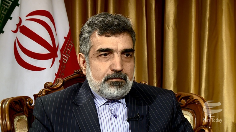 بہروز کمالوندی: ایران، امریکہ کے ساتھ جوہری مسئلے پر مذاکرات نہیں کرے گا