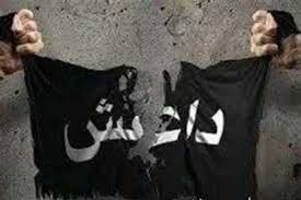عراق میں 11 داعشی ہلاک