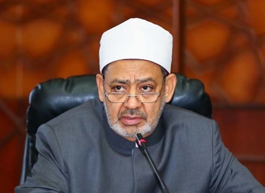 شيخ الأزهر يدعو إلى تحرك دولي من أجل فلسطين والمضطهدين في بورما