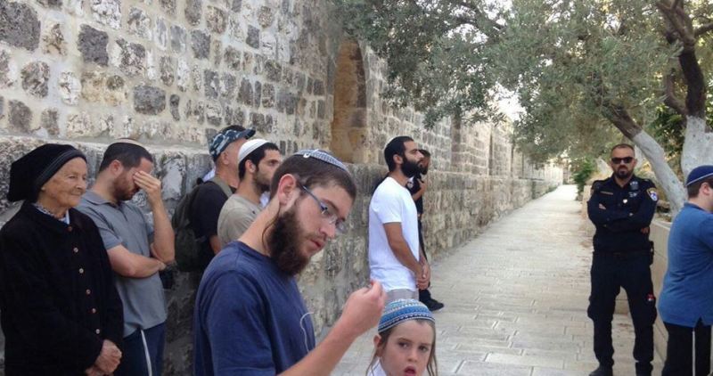 Israeli settlers defile Aqsa Mosque