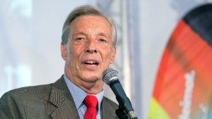 AfD-Spitze entmachtet Landesvorstand