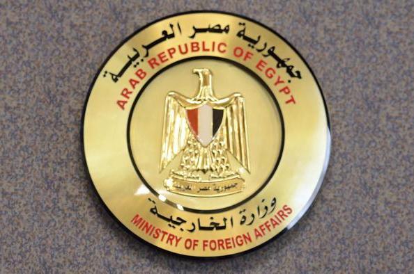 مصر: العمليات العسكرية التركية في عفرين "انتهاك جديد" للسيادة السورية