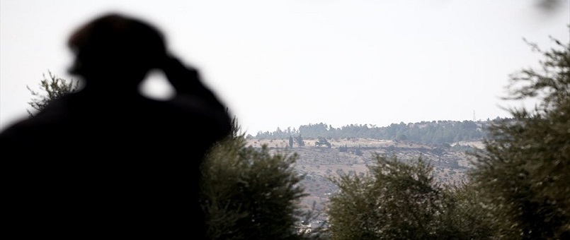 Rus senatör: Afrin harekatı, Suriye'deki kırılgan müzakere sürecini tehlikeye atabilir