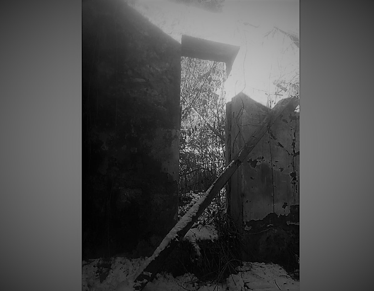 Талыш ханлығынын виранә галмыш сарајы – Фото