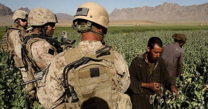 Analyst: Trump's interest in Afghanistan tied to heroin production