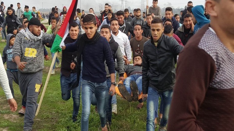19 palestinos feridos em confrontos com ocupantes sionistas