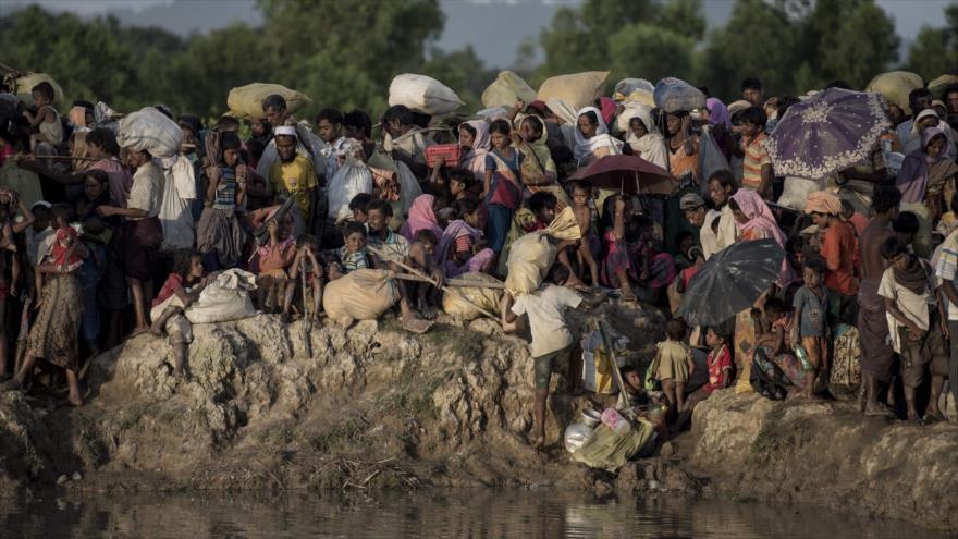 “Al Menos el 90 % de los Musulmanes Rohinyas han sido Expulsados de Birmania” 
