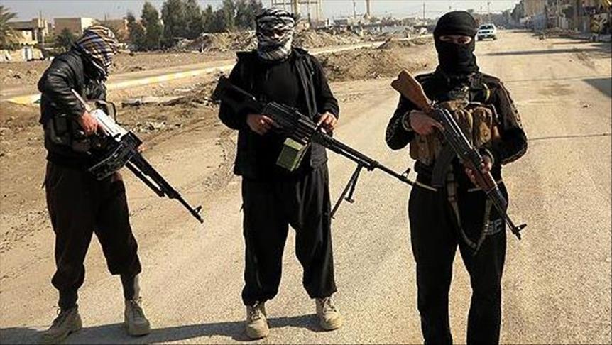 13 ISIS terrorists killed in northern Afghanistan