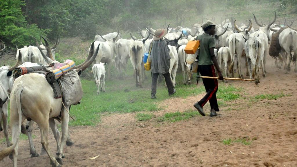 An kashe mutane 20 tare da sace shanu 300 a rikicin Taraba