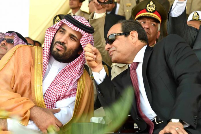 السيسي يسلم لـ "بن سلمان" أرضاً تزيد على مساحة دولة عربية