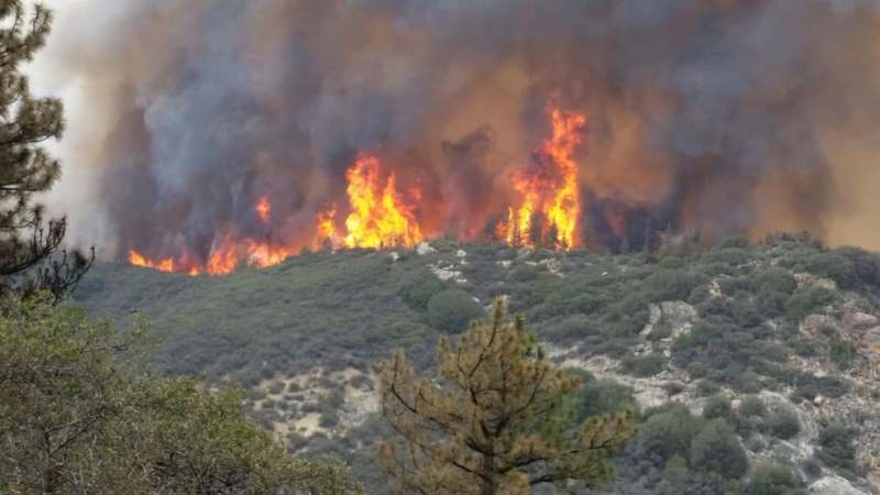 Extremist Israeli colonizers burn Palestinian farmlands near al-Khalil