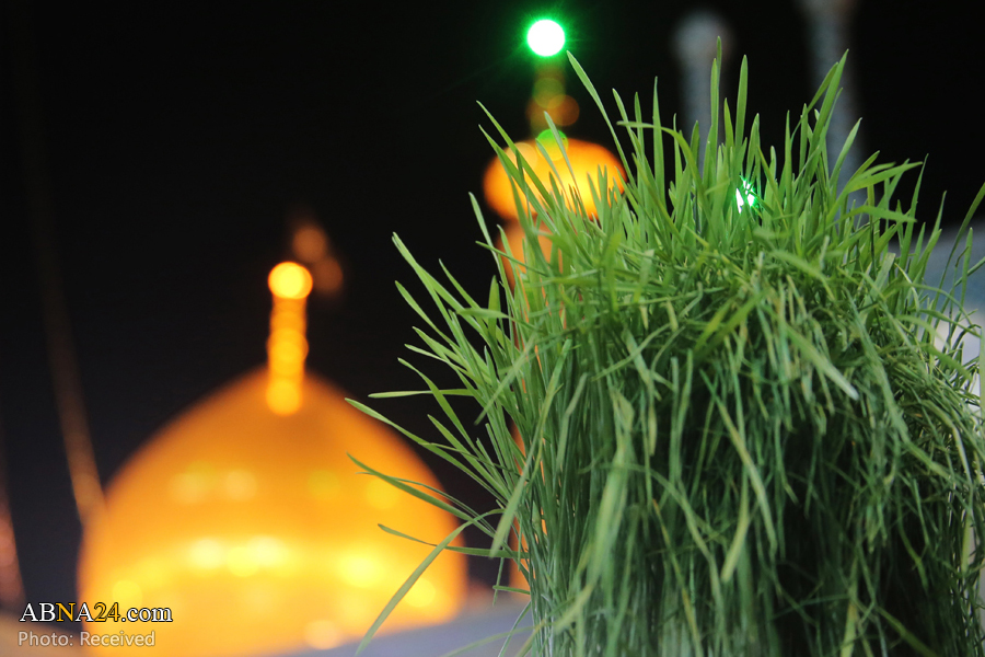 تصویری رپورٹ: حرم حضرت معصومه(س) میں نئے سال کی تحویل کی تقریب
