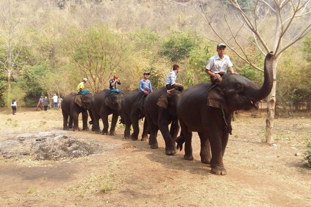 မႏၱေလးတိုင္းတြင္း ဝါးနက္​အပန္​း​ေျဖ ဆင္​စခန္း ထပ္မံဖြင့္လွစ္မည္