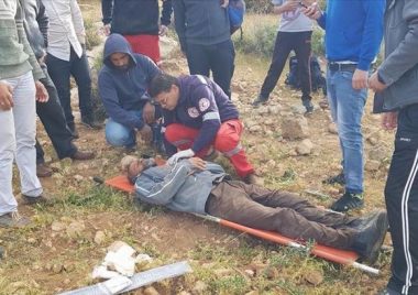 Israeli colonizers attack Palestinian shepherd near Hebron