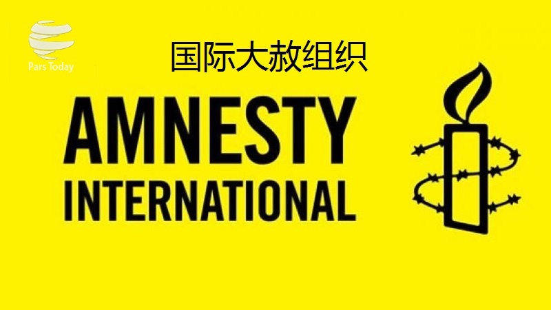国际大赦组织：美国和西方的武器是也门人民饱受战乱之苦的根源