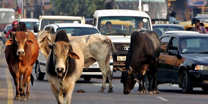 गोहत्या मामले में गिरफ्तार शख्स की जेल में मौत, पीएम रिपोर्ट में बड़ा खुलासा, SHO सस्पेंड