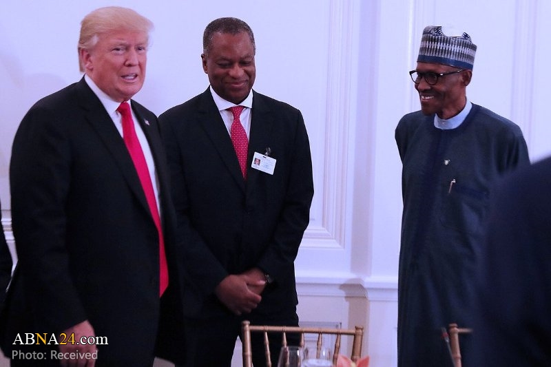 Disgrace: Buhari 1st leader to visit Trump who described Africans as shithole/He in dream of 2019 Nigeria presidential elections