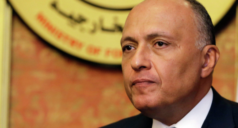 “Egipto No Tiene Previsto Enviar Ningún Contingente Militar a Siria” 
