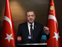 أردوغان: نتنياهو رئيس دولة عنصرية ويده ملطخة بدماء الفلسطينيين