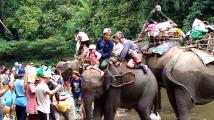 ကခ်င္ တိုက္ပြဲေရွာင္ ေဒသခံမ်ားကုိ ေဘးကင္းရာသို႔ ဆင္မ်ားျဖင့္ကူညီပို႔ေဆာင္ေပး
