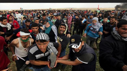 Israel ist gegen die Bildung eines Untersuchungskomitees hinsichtlich der Ereignisse in Gaza