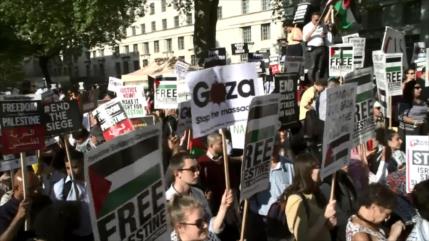 "Le Royaume-Uni doit assumer sa responsabilité dans le massacre des Palestiniens"