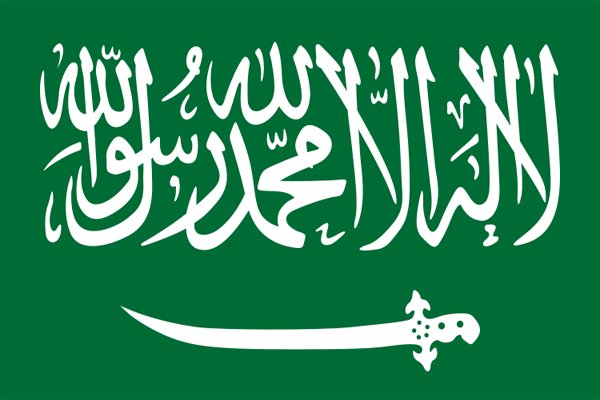 سعودی عرب میں ایک نئی وزارت کی تشکیل کا اعلان