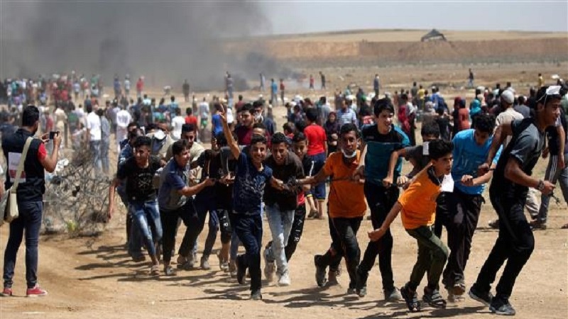 Palestina: Protestos continuam ao longo da fronteira de Gaza no Dia Naksa