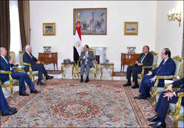 المساعي المصرية متواصلة لوقف "تدهور الأوضاع" في سوريا