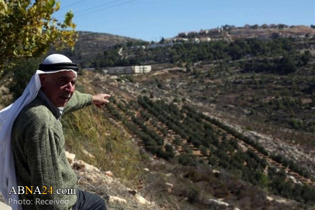 Israeli forces confiscate Palestinian farmers' crops near Al-Khalil