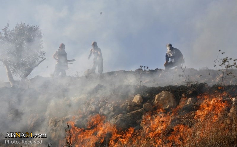 Extremist Israeli settlers set fire to Palestinian olive orchards near Nablus