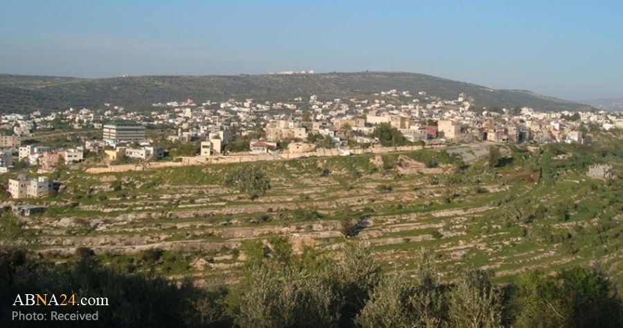 Israeli occupation authority annexes over 200 dunums of Palestinian land east of Salfit