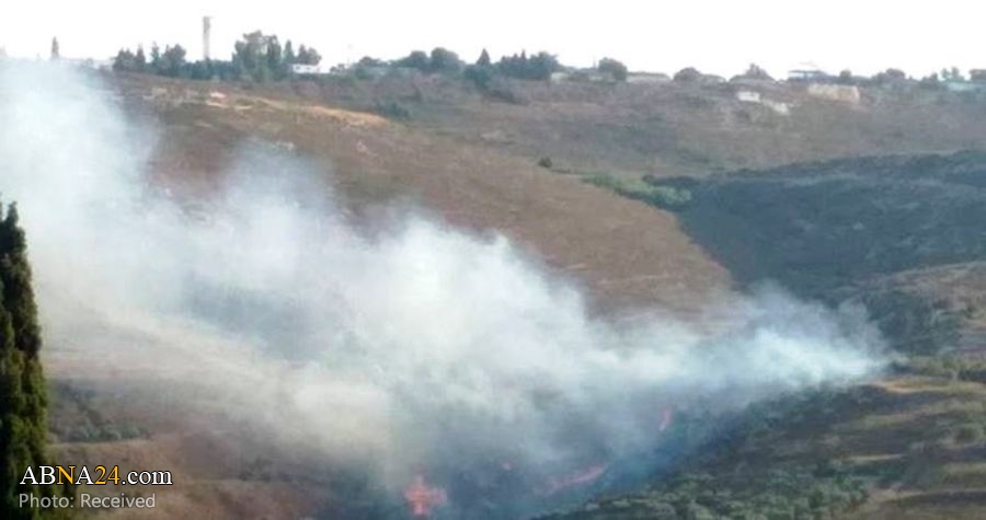 More than 300 Palestinian olive trees burned by Israeli settlers in Nablus 