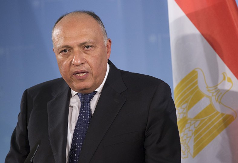 وزير الخارجية المصري: لا حلول عسكرية لأزمتي "سوريا وليبيا"
