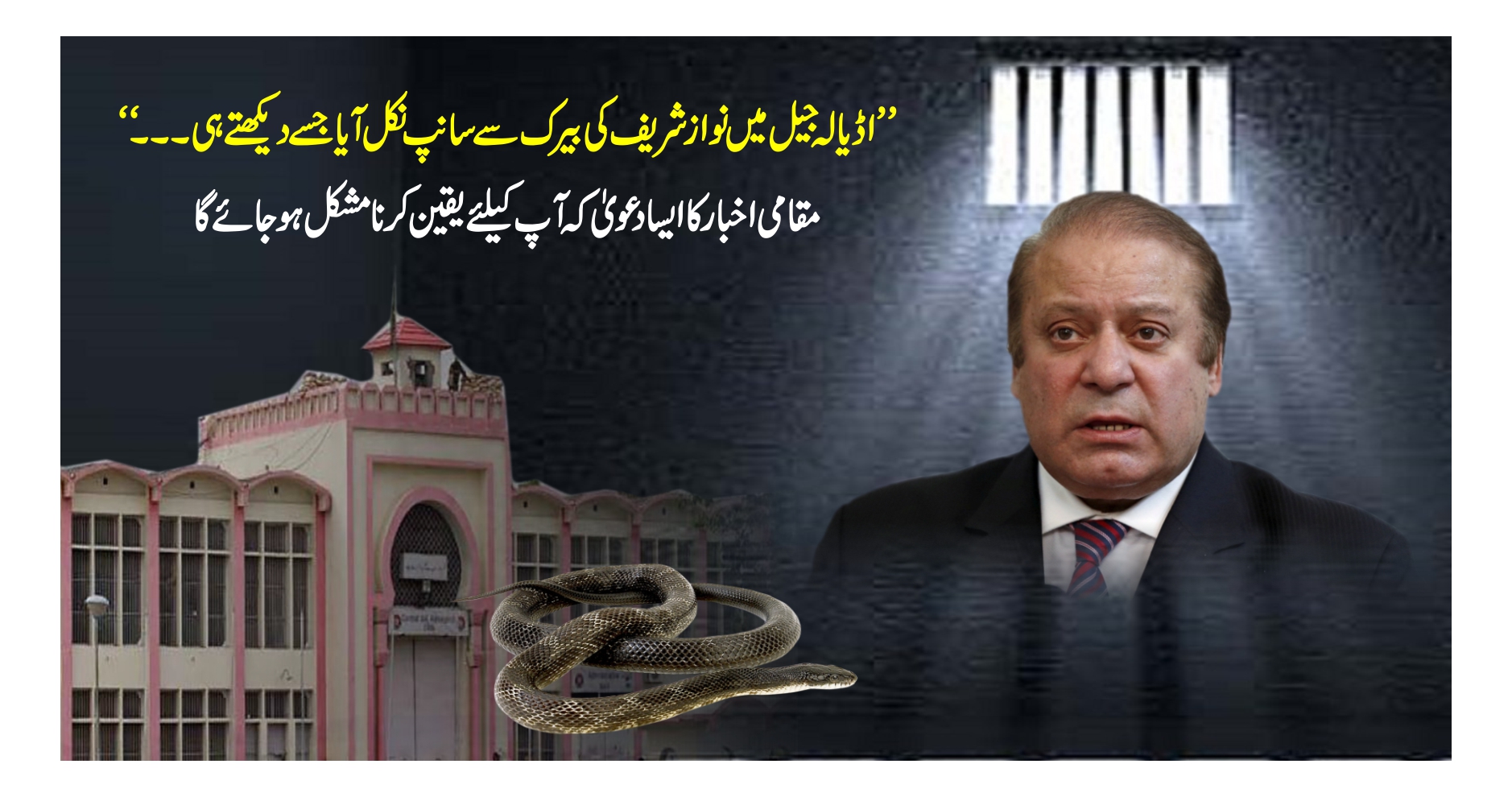 نواز شریف کی جیل میں سانپ کو دیکھ کر چیخ نکل گئی