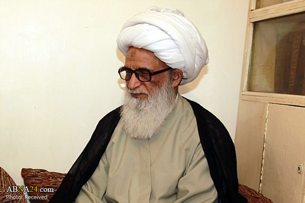Ayatollah Bashir Najafi's response about Pakistani Shias participation in election 