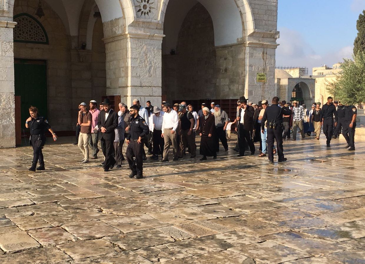 مجموعات كبيرة من المستوطنين يقتحمون "المسجد الأقصى"