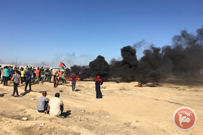شهيدان و 246 اصابة برصاص الاحتلال الاسرائيلي على حدود غزة+(صور)