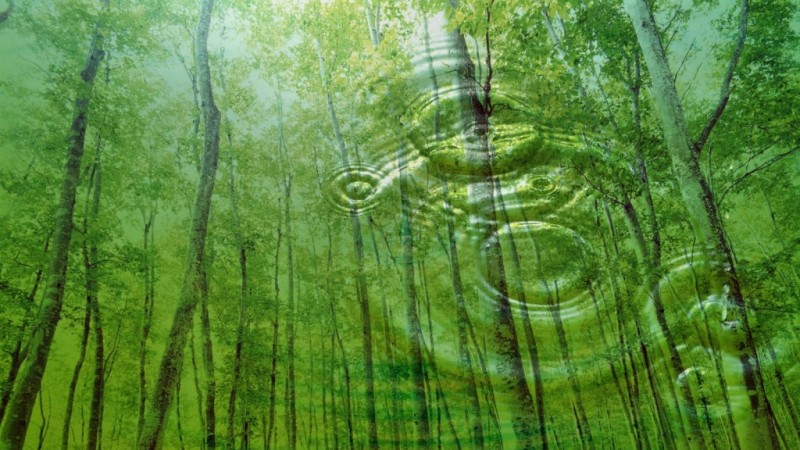 Обращение к собственной подлинности