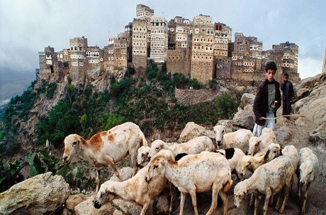 Yemen’de Bir Hafta / Foto